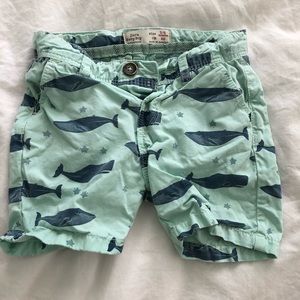 ZARA BOYS WHALE SHORTS 3-6 MONTHS